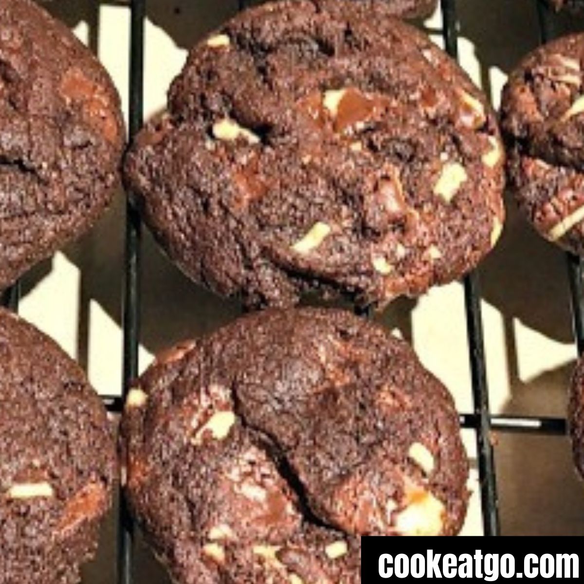 Minty Chocolate Delights Cookie Recipe 
